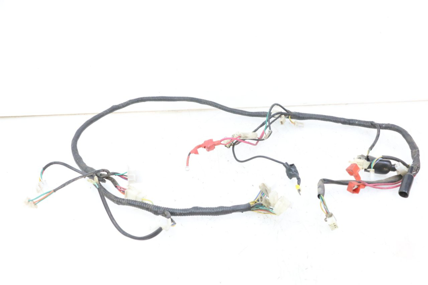 photo de FAISCEAU TNT MOTOR ROMA 10' 2T 50 (2011 - 2018)