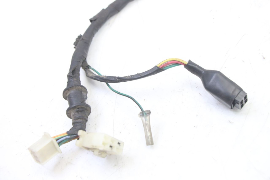 photo de FAISCEAU PEUGEOT TWEET 4T 50 (2014 - 2019)