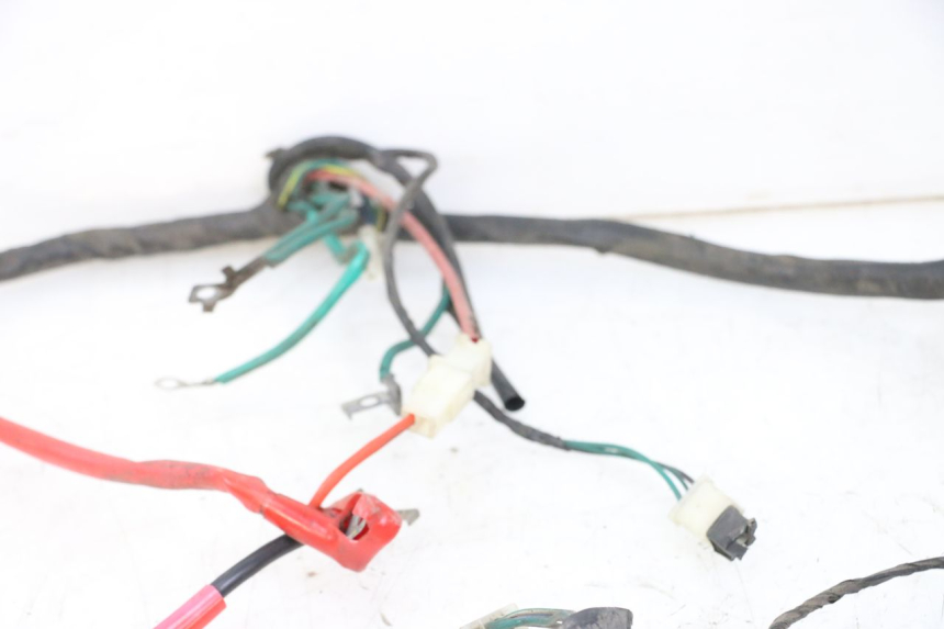 photo de FAISCEAU PEUGEOT TWEET PRO CARGO 50 (2018 - 2020)