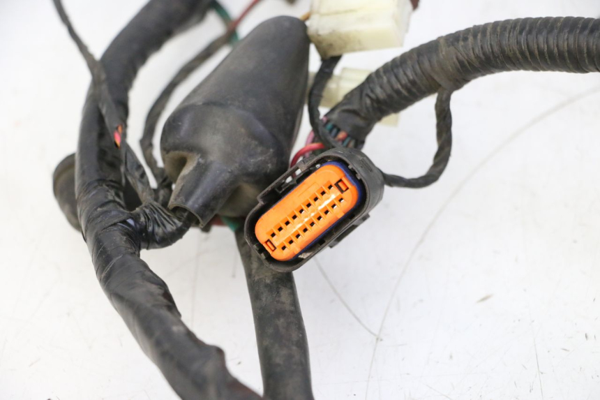 photo de FAISCEAU PEUGEOT TWEET PRO CARGO 50 (2018 - 2020)