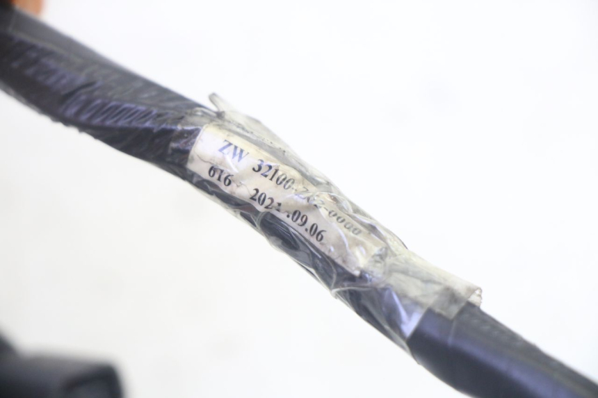 photo de FAISCEAU PEUGEOT TWEET PRO EFI 4T 50 (2021 - 2022)