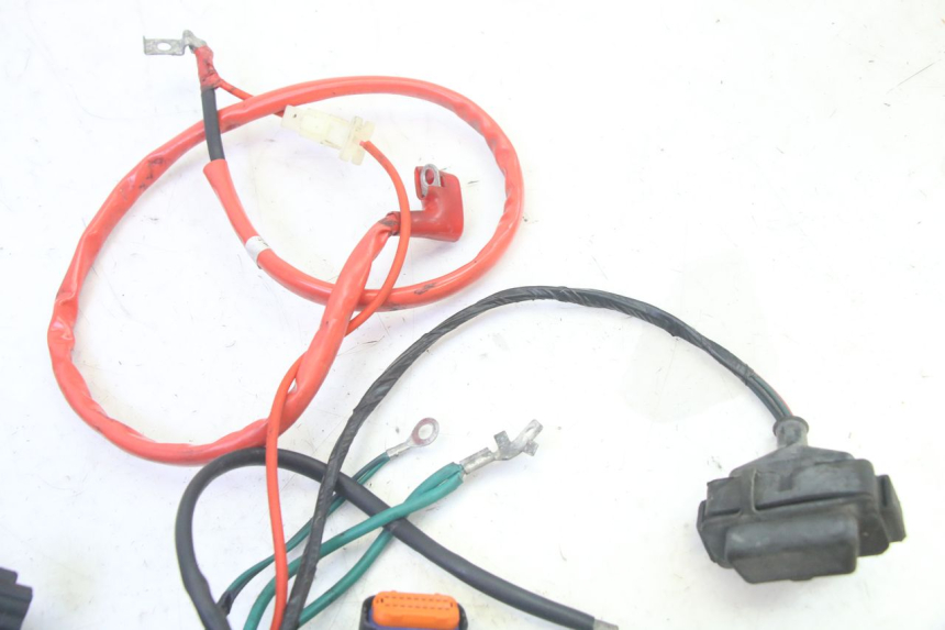 photo de FAISCEAU PEUGEOT TWEET PRO EFI 4T 50 (2021 - 2022)