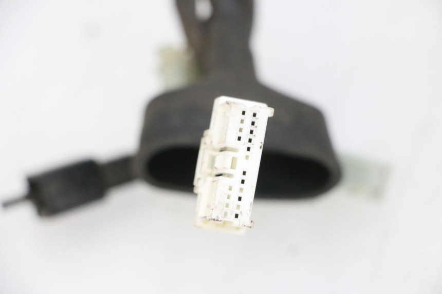 photo de FAISCEAU YAMAHA TZR 50 (2008 - 2016) - Zoom composants