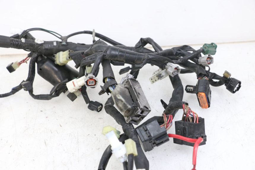 photo de FAISCEAU YAMAHA XJ6 ABS 600 (2008 - 2016)