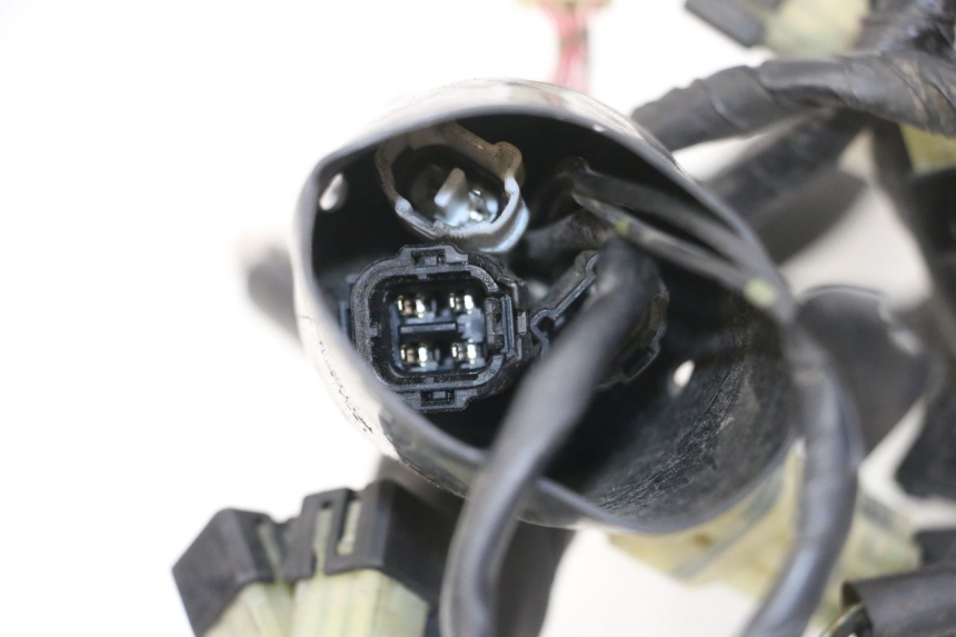 photo de FAISCEAU YAMAHA XJ6 ABS 600 (2008 - 2016)