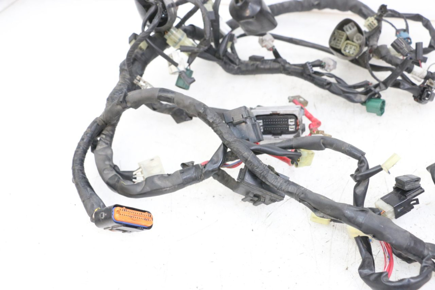 photo de FAISCEAU YAMAHA XJ6 ABS 600 (2008 - 2016)
