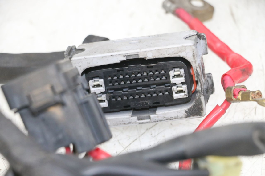photo de FAISCEAU YAMAHA XJ6 ABS 600 (2008 - 2016)