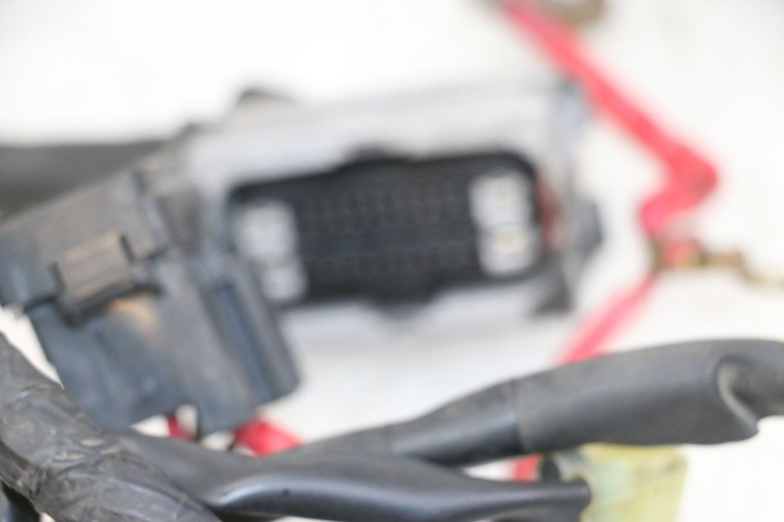 photo de FAISCEAU YAMAHA XJ6 ABS 600 (2008 - 2016)