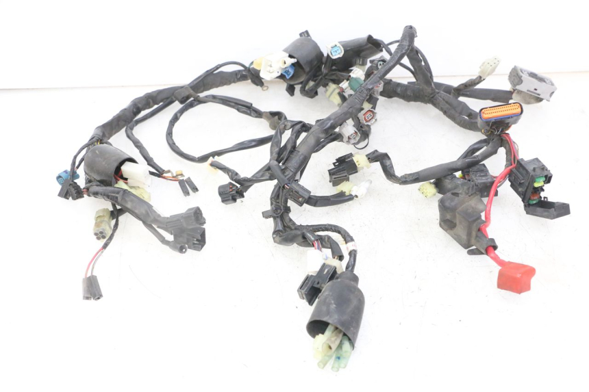 photo de FAISCEAU YAMAHA XJ6 ABS 600 (2008 - 2016)