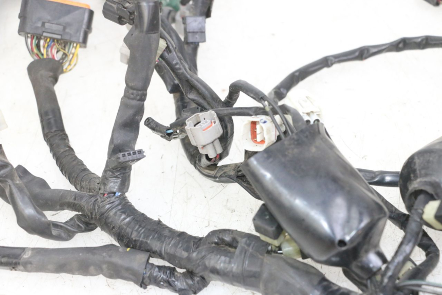 photo de FAISCEAU YAMAHA XJ6 ABS 600 (2008 - 2016)