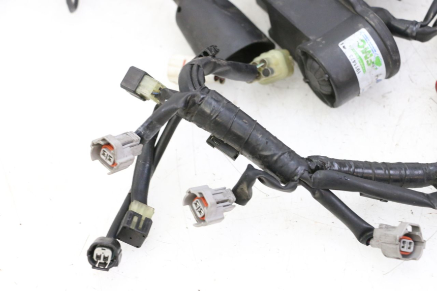 photo de FAISCEAU YAMAHA XJ6 ABS 600 (2008 - 2016)