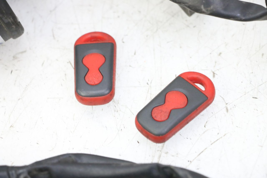 photo de FAISCEAU YAMAHA XJ6 ABS 600 (2008 - 2016)