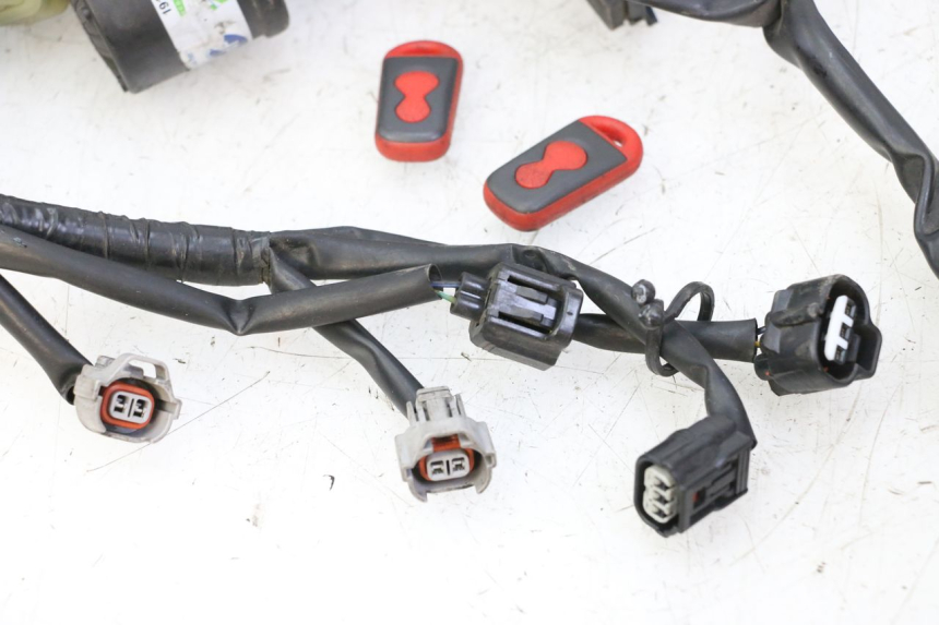 photo de FAISCEAU YAMAHA XJ6 ABS 600 (2008 - 2016)