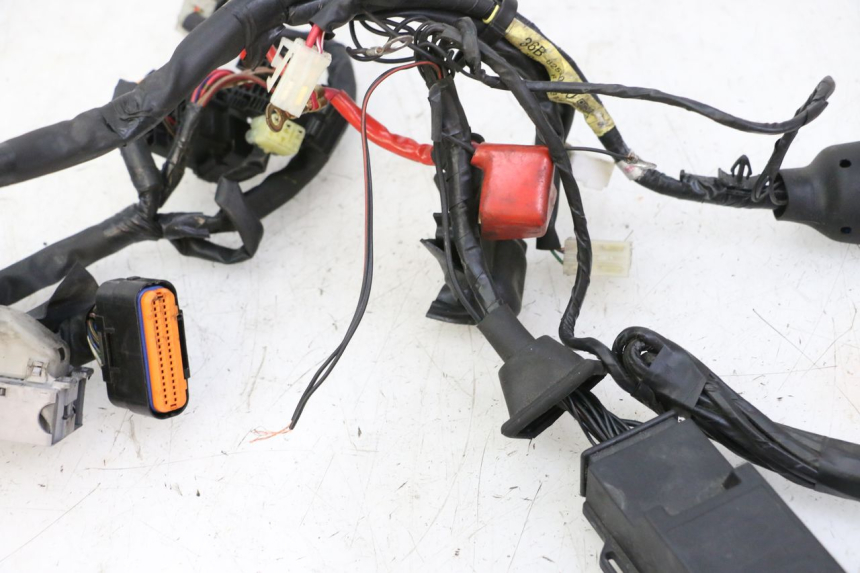 photo de FAISCEAU YAMAHA XJ6 ABS 600 (2008 - 2016)