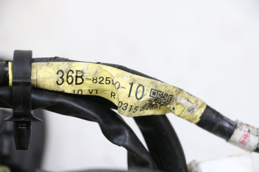 photo de FAISCEAU YAMAHA XJ6 ABS 600 (2008 - 2016)