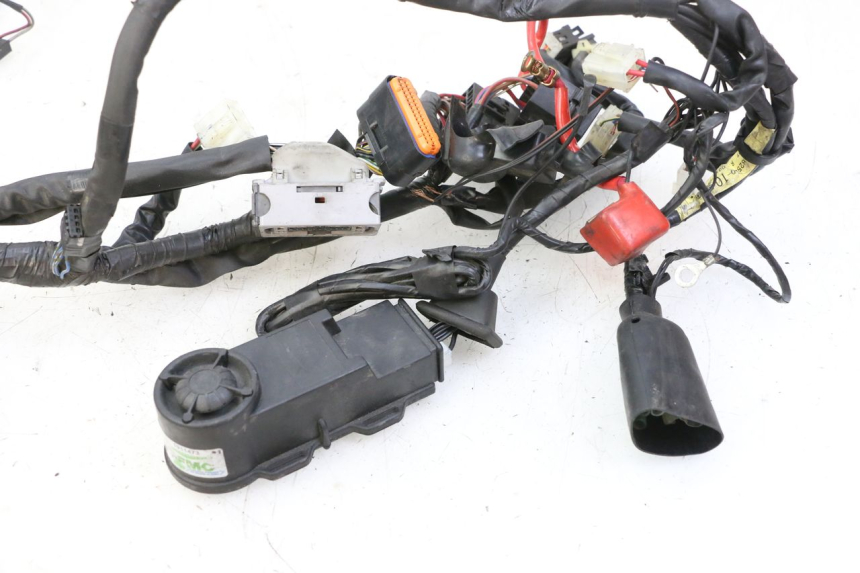 photo de FAISCEAU YAMAHA XJ6 ABS 600 (2008 - 2016)