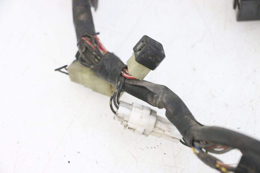 photo de FAISCEAU YAMAHA FZS FAZER 600 (2001 - 2003)