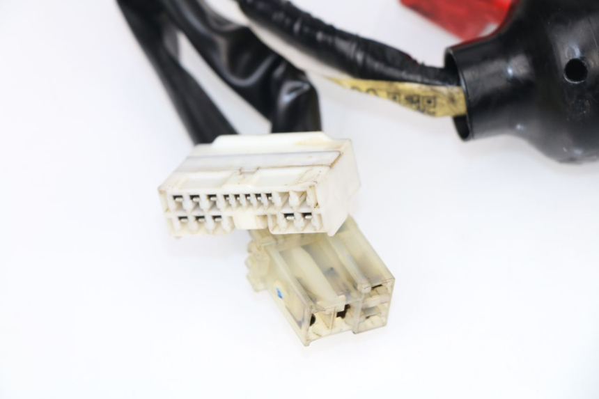 photo de FAISCEAU YAMAHA XJ6 ABS 600 (2008 - 2016)