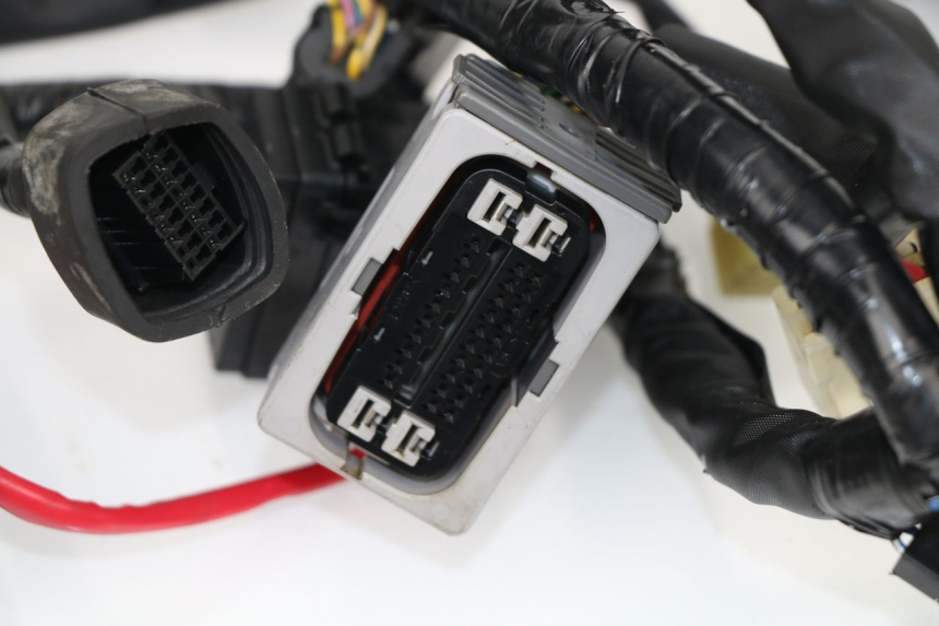 photo de FAISCEAU YAMAHA XJ6 ABS 600 (2008 - 2016)