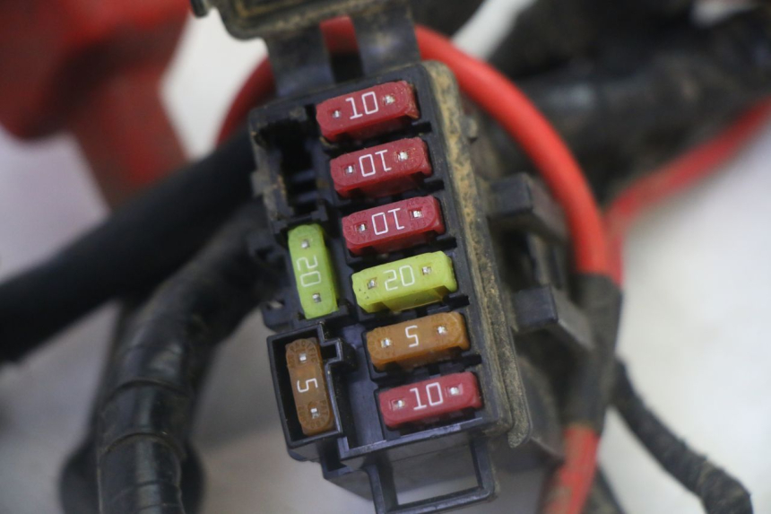 photo de FAISCEAU YAMAHA YFM GRIZZLY 550 (2008 - 2015)