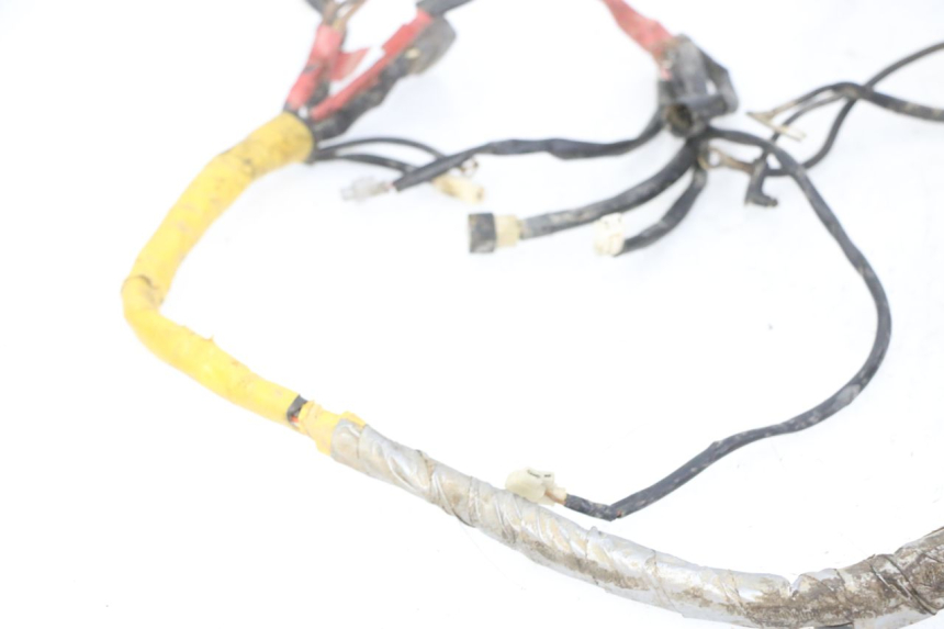 photo de FAISCEAU YAMAHA YFM R RAPTOR 250 (2008 - 2014)