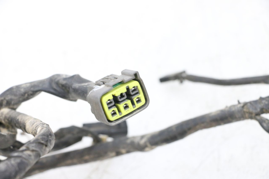 photo de FAISCEAU YAMAHA YFM R RAPTOR 250 (2008 - 2014) - Vue d’ensemble