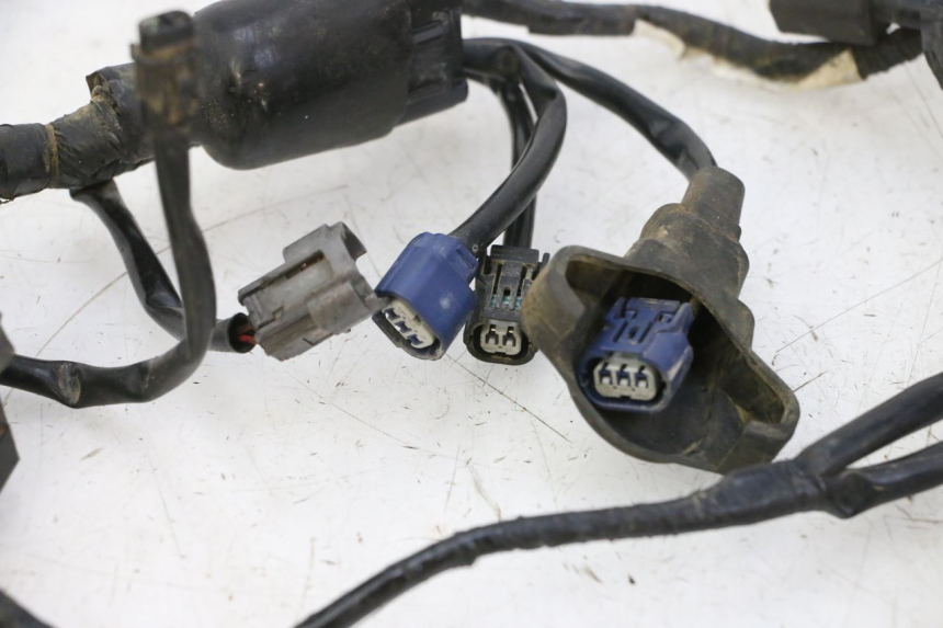 photo de FAISCEAU YAMAHA YZF YZ-F 450 (2014 - 2016)