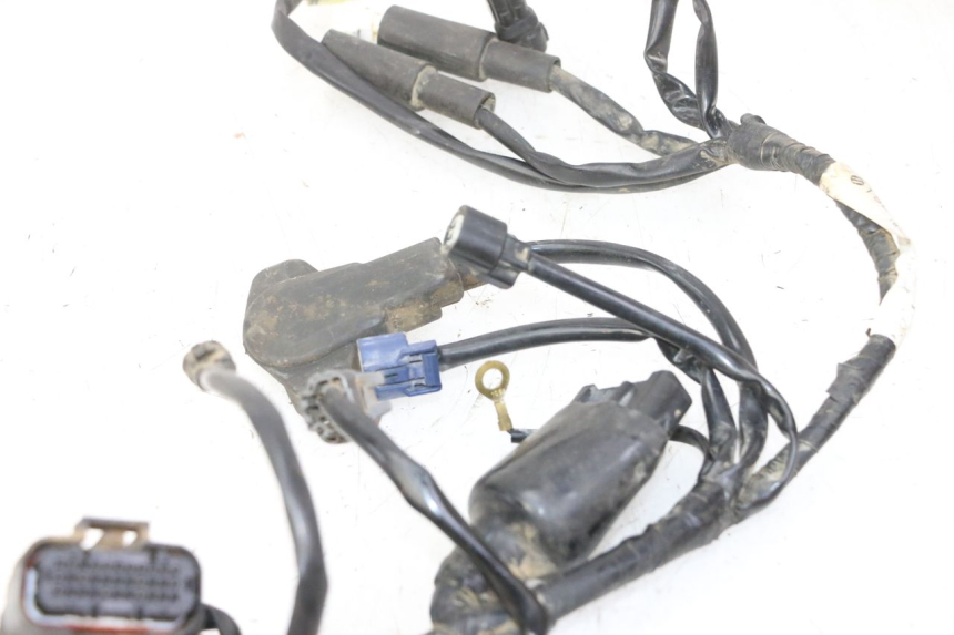 photo de FAISCEAU YAMAHA YZF YZ-F 450 (2014 - 2016)