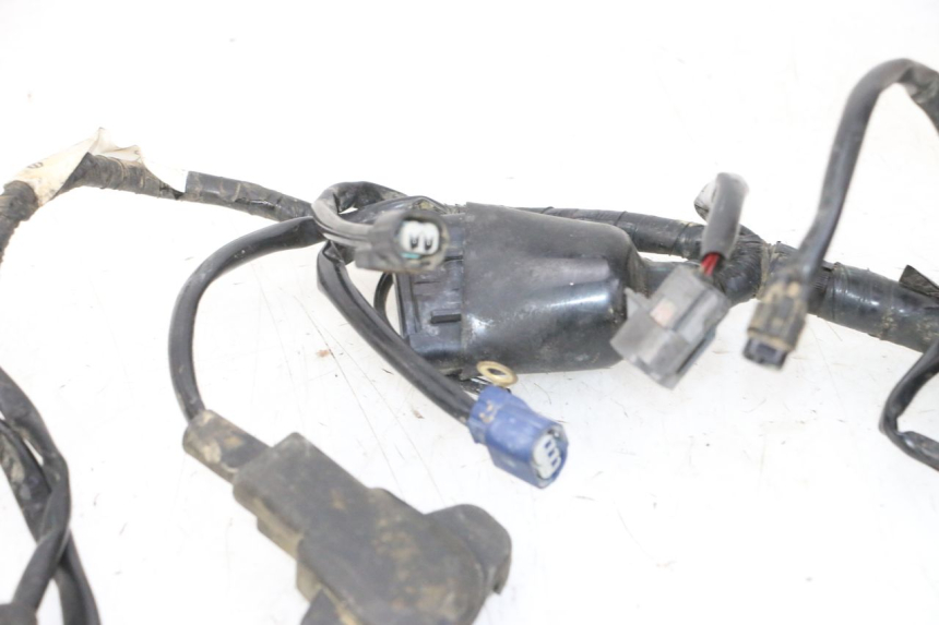 photo de FAISCEAU YAMAHA YZF YZ-F 450 (2014 - 2016)