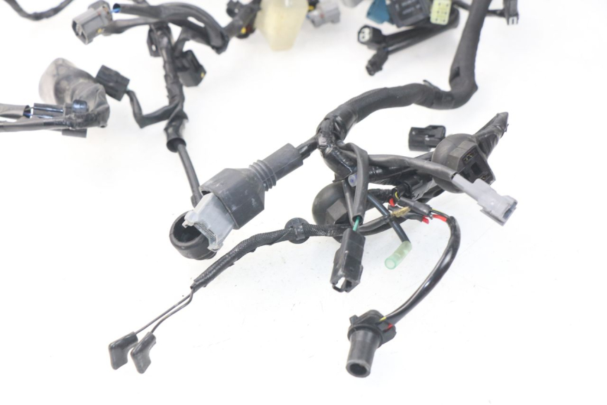 photo de FAISCEAU KAWASAKI Z Z900 900 (2017 - 2019)