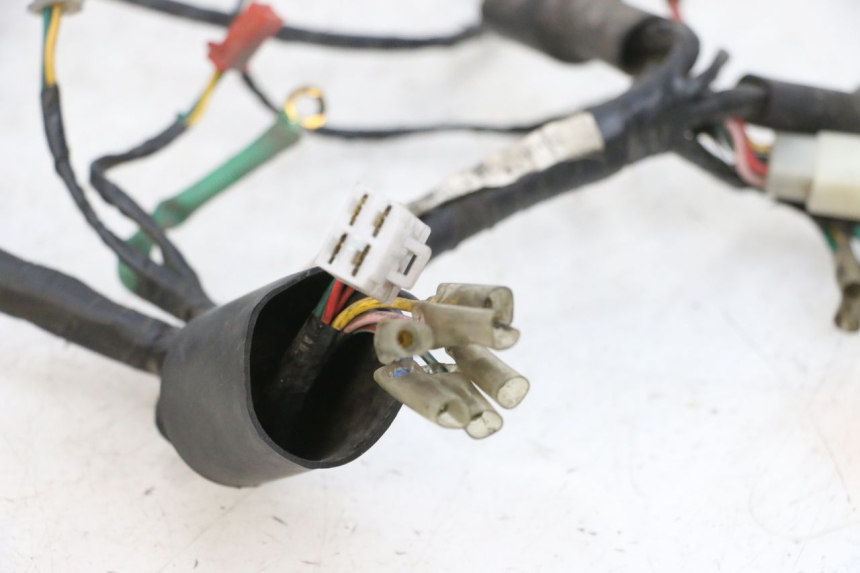 photo de FAISCEAU KYMCO ZING 125 (1997 - 2003) - Vue d’ensemble