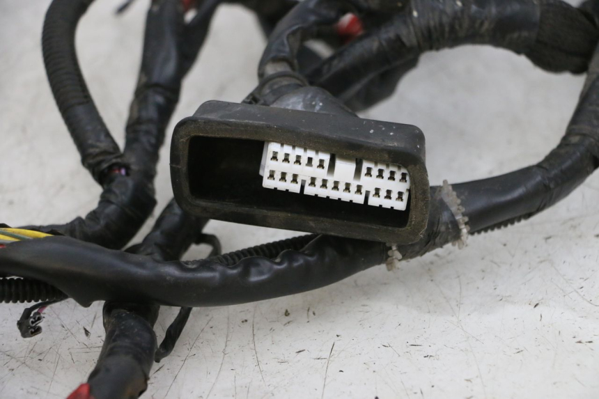 photo de FAISCEAU PIAGGIO ZIP 4T 50 (2018 - 2020) - Détail de la pièce