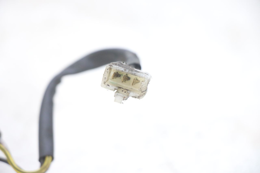 photo de FEU ARRIERE PIAGGIO NEW TYPHOON 50 (2018 - 2021)