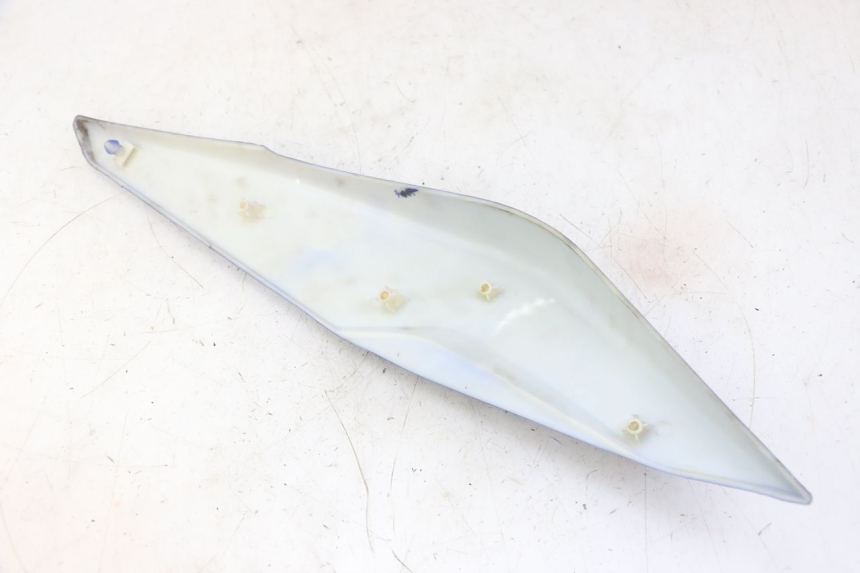 photo de FLANC ARRIERE DROIT STAHO FH 50 (2018 - 2019)