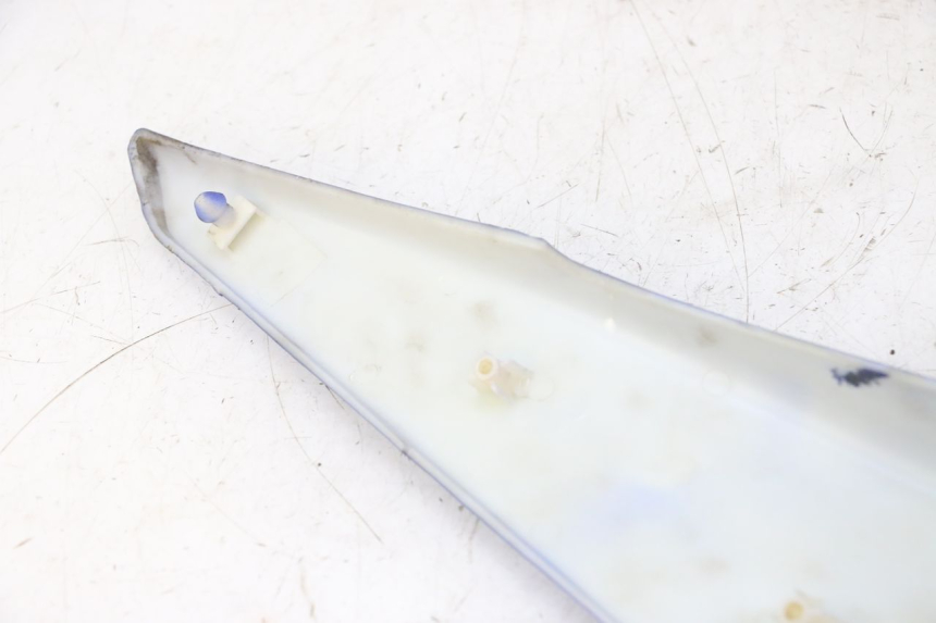 photo de FLANC ARRIERE DROIT STAHO FH 50 (2018 - 2019)