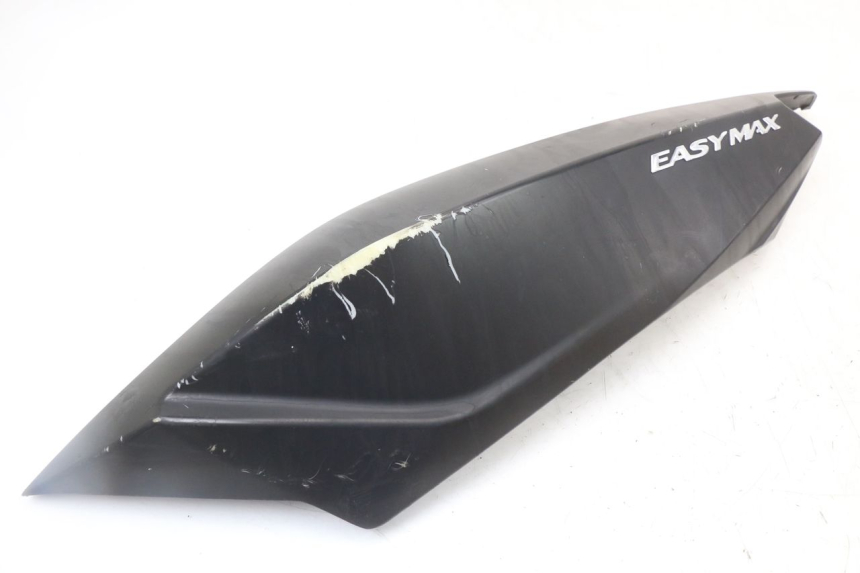 photo de FLANC ARRIERE GAUCHE LONGJIA EASY MAX 125 (2020 - 2024)