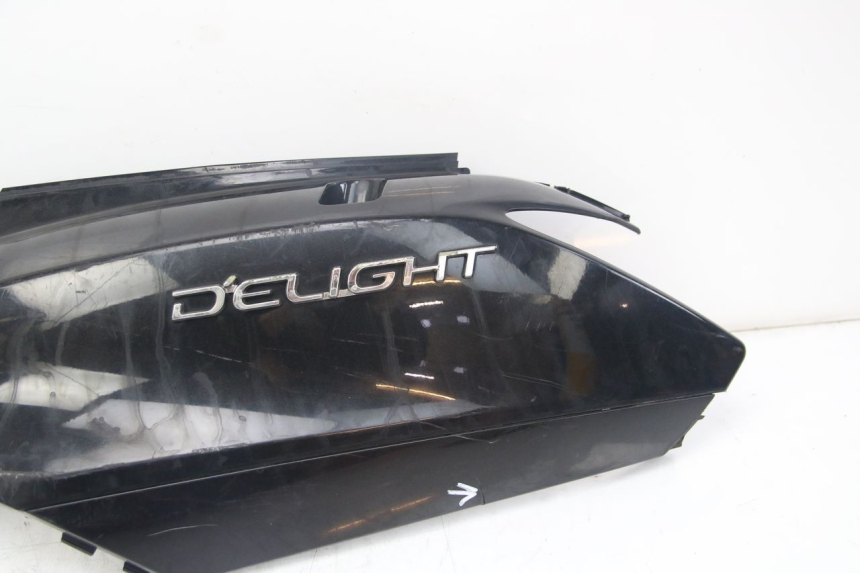 photo de FLANC ARRIERE GAUCHE YAMAHA D'ELIGHT DELIGHT 125 (2017 - 2020)