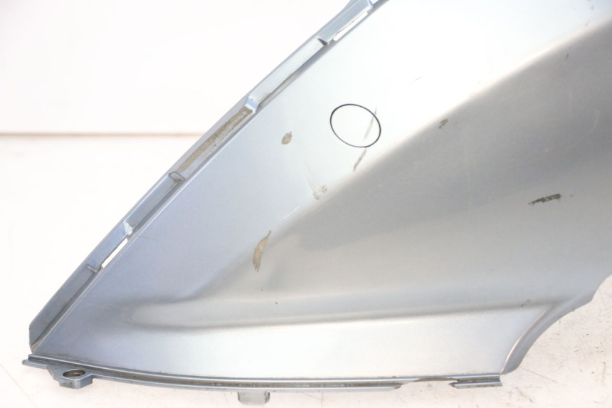 photo de FLANC ARRIERE GAUCHE DAELIM HISTORY 125 (2001 - 2002)