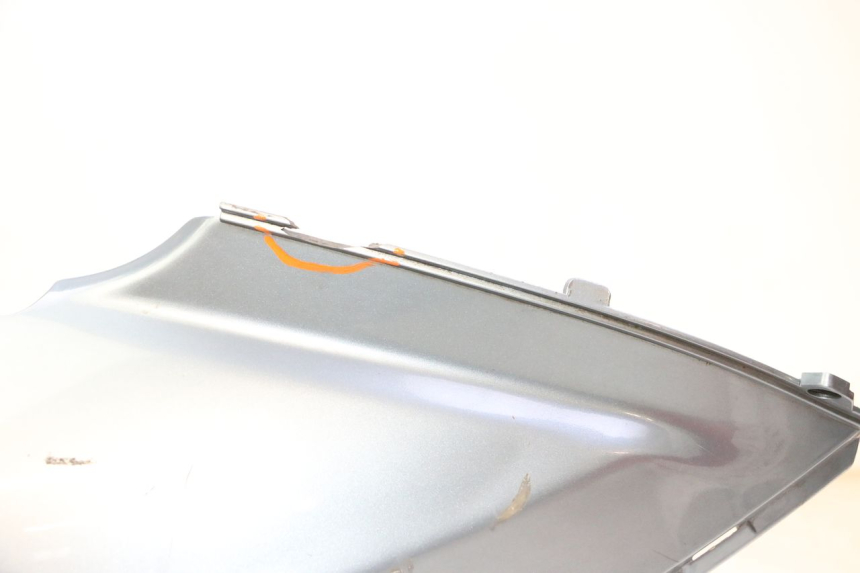 photo de FLANC ARRIERE GAUCHE DAELIM HISTORY 125 (2001 - 2002)