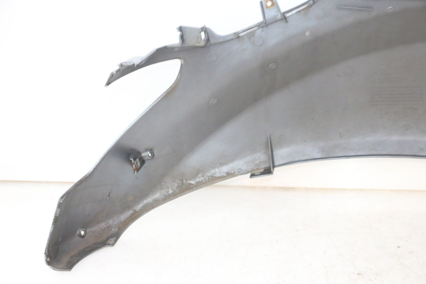 photo de FLANC ARRIERE GAUCHE DAELIM HISTORY 125 (2001 - 2002)