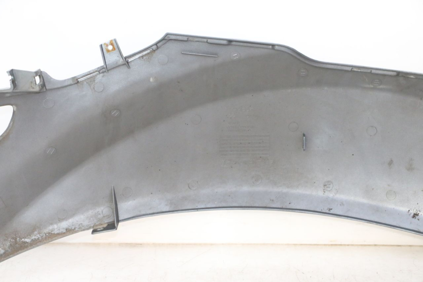 photo de FLANC ARRIERE GAUCHE DAELIM HISTORY 125 (2001 - 2002)