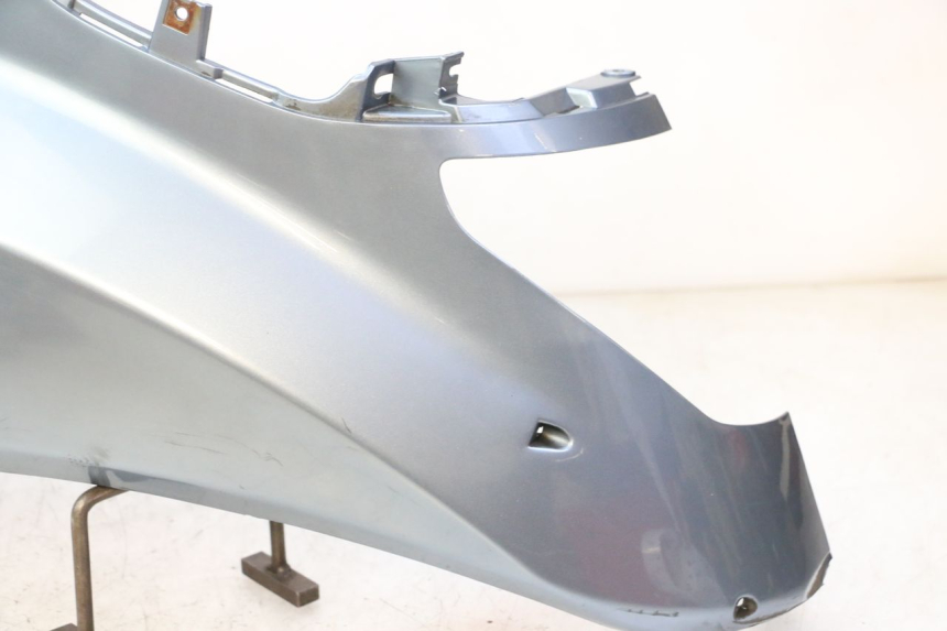 photo de FLANC ARRIERE GAUCHE DAELIM HISTORY 125 (2001 - 2002)