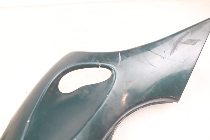 photo de FLANC ARRIERE GAUCHE TRIUMPH SPRINT ST 955 (1999 - 2001)