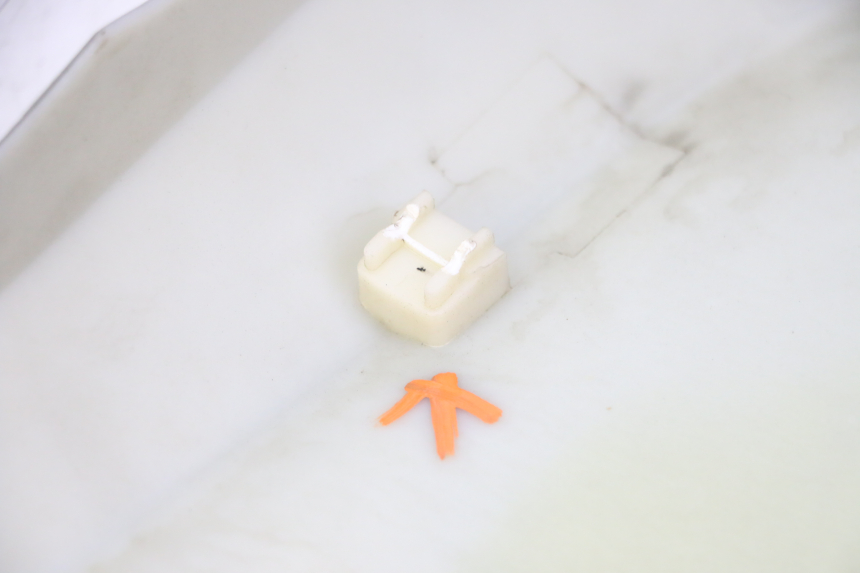 photo de FLANC LATERAL AVANT DROIT STAHO FH 50 (2018 - 2019)