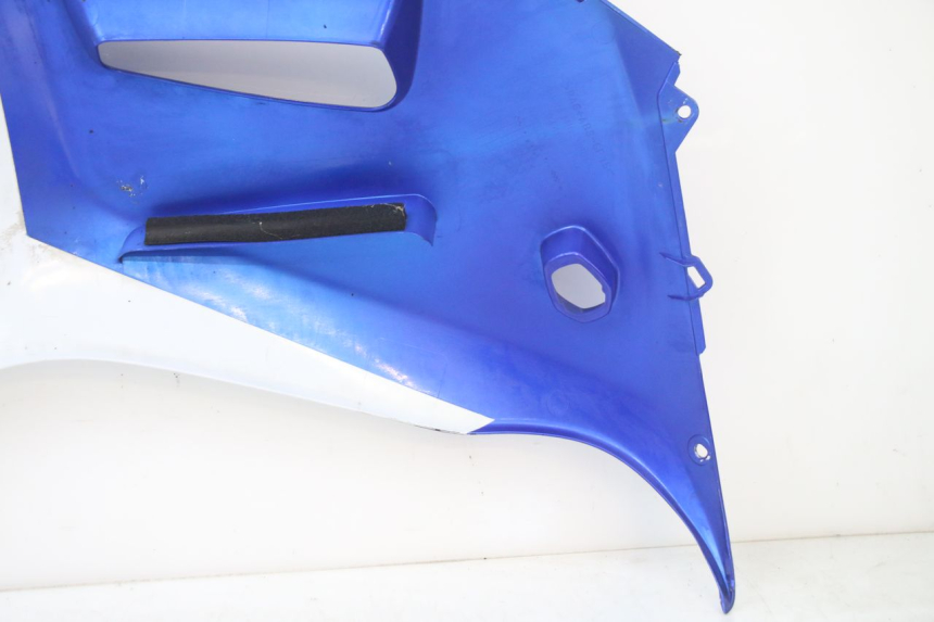photo de FLANC LATERAL AVANT GAUCHE SUZUKI GSX F GSXF 650 (2007 - 2015)