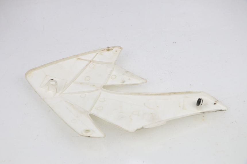photo de FLANC LATERAL AVANT GAUCHE NITRO MOTORS THUNDER 125