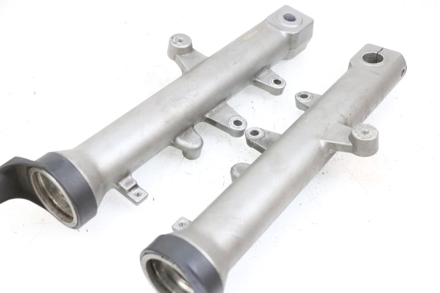 photo de FOURREAU FOURCHE SUZUKI BURGMAN EXECUTIVE ABS 650 (2006 - 2012) - Vue d’ensemble