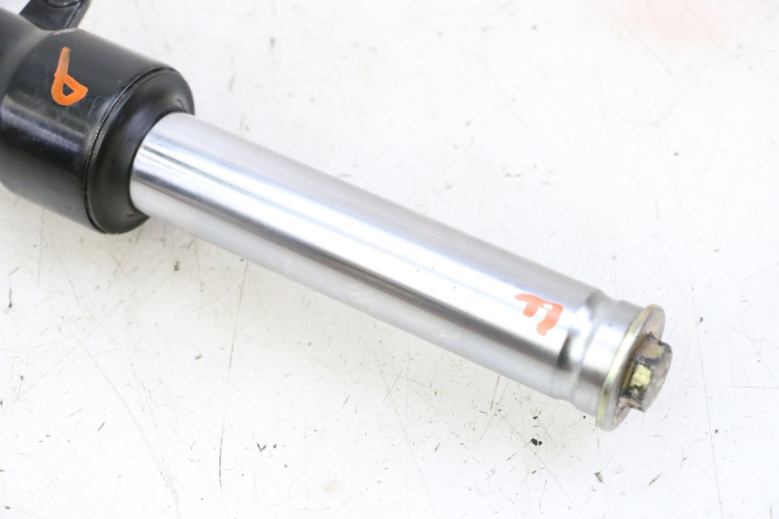 photo de FOURREAU FOURCHE DROIT ORCAL CAVARO 4T 50 (2019 - 2023)