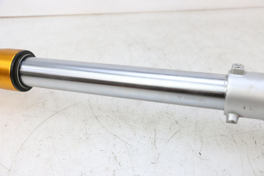 photo de FOURREAU FOURCHE DROIT RIEJU MRT 50 (2018 - 2021)