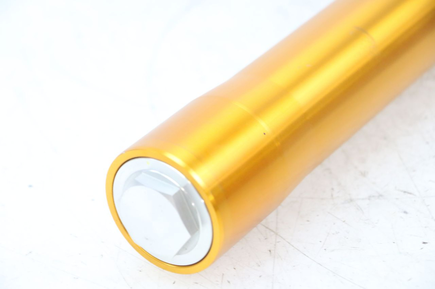 photo de FOURREAU FOURCHE DROIT RIEJU MRT 50 (2018 - 2021)